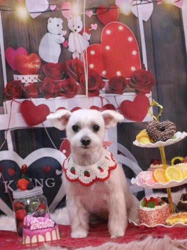 20250228稲垣　ヒメちゃん